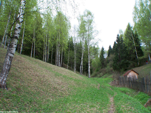 29389 (a): :1024x768